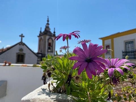 Casa do Toupeiro Bed and Breakfast in Óbidos