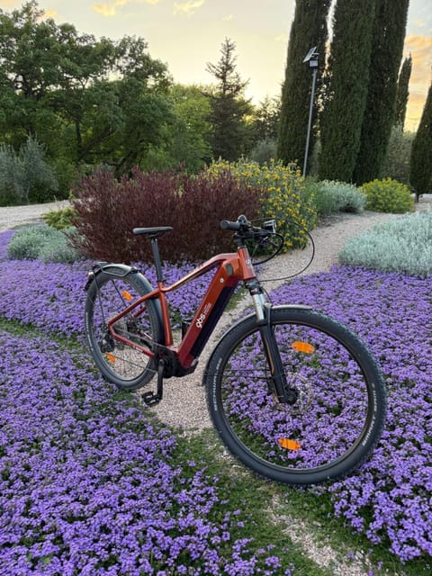 Casale Terre Rosse Garden Bed and Breakfast in Lazio