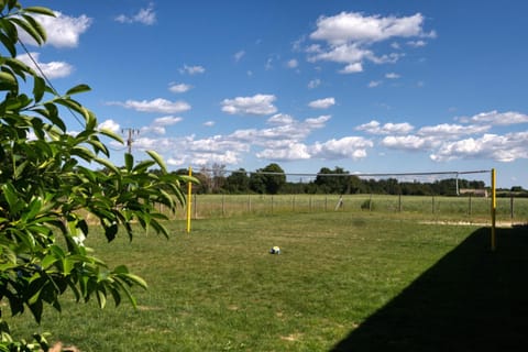 Patio, Garden, Garden view