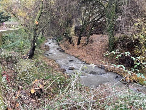 Apartamento junto al río en entrada ruta Cahorros Wohnung in Monachil