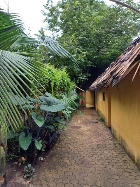 Green Garden Guest House Alojamiento y desayuno in Arusha