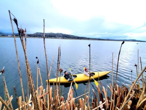 Hotel - Titicaca Dora Nature lodge in Puno, Peru