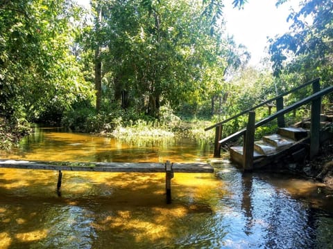 Natural landscape, River view