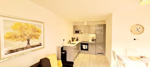 Blue Sapphire Apartment in Milton Keynes