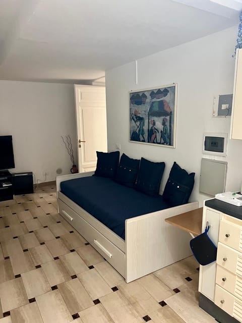 Bed, TV and multimedia, Kitchen or kitchenette, Living room, Photo of the whole room, Seating area, Bedroom, minibar