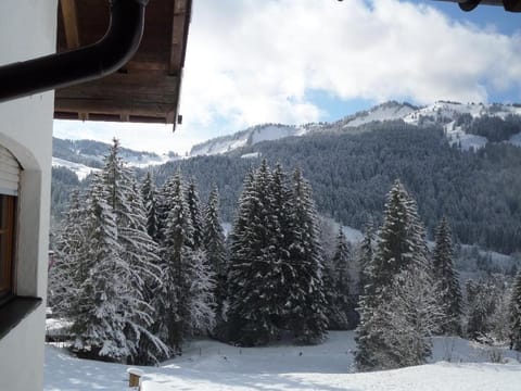 Winter, Mountain view