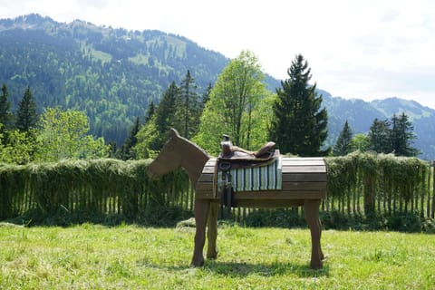 Garden, Mountain view