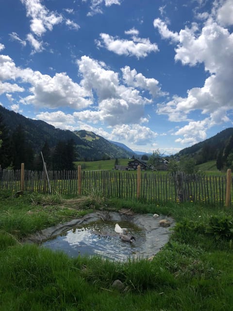 Alte Schmiede Apartment in Oberstdorf