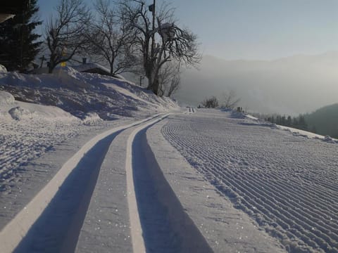 Natural landscape, Winter, Skiing, Mountain view