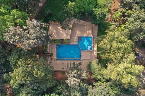 Bird's eye view, Garden, Swimming pool, Swimming pool