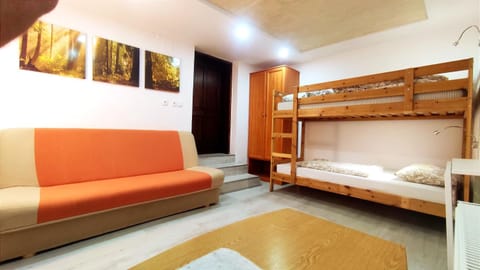 Photo of the whole room, bunk bed