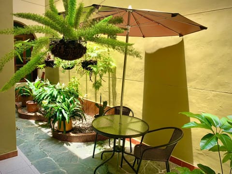 Patio, Garden, Solarium