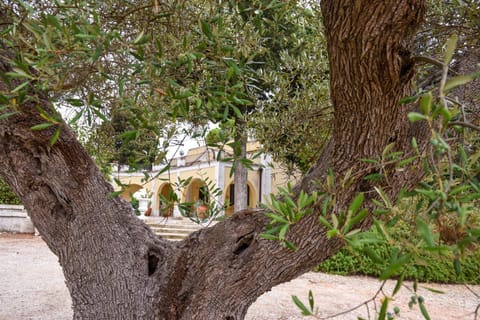 Villa Luciana Villa in Martina Franca