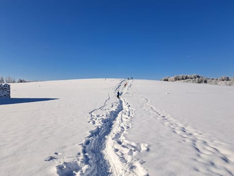 Natural landscape, Winter