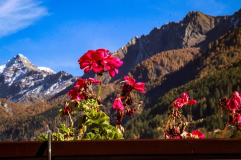 View (from property/room), Garden view, Mountain view