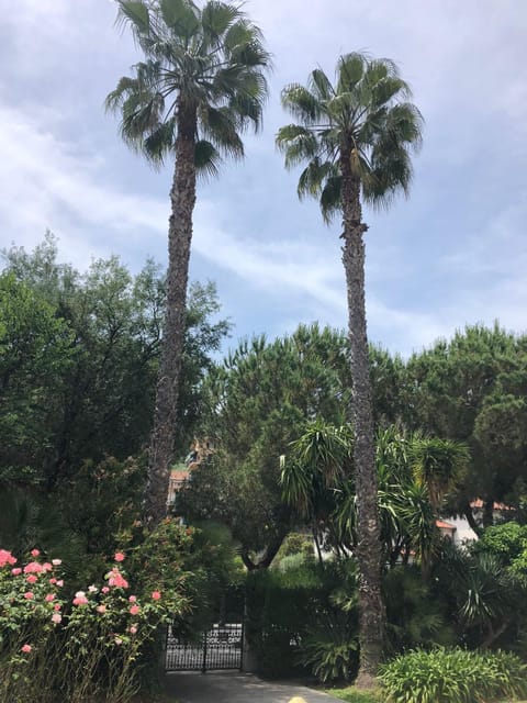 Giorgio's Inn Apartment in Liguria