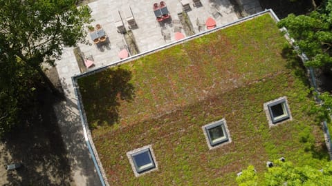 Property building, Spring, Day, Natural landscape, Bird's eye view, Garden, Garden view