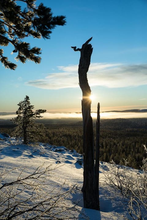 Ylläs with a view Apartment in Lapland