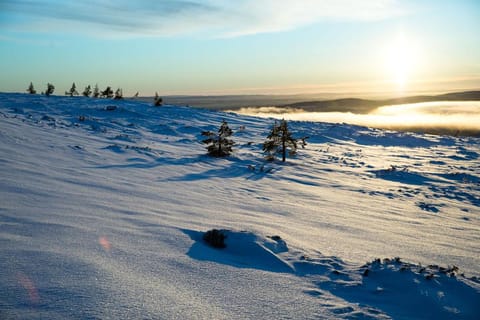 Ylläs with a view Apartment in Lapland
