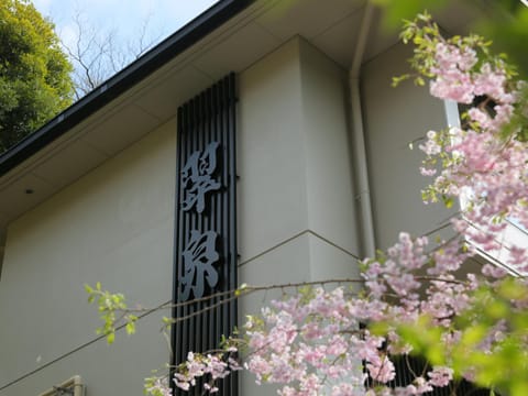 Hot Spring Inn Hakone Suisen Ryokan in Hakone