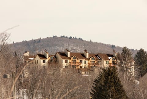 Mount Snow Lodging Lodge nature in Mount Snow