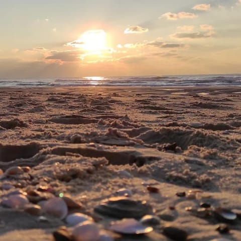 Natural landscape, Beach, Sunset