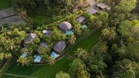 Property building, Spring, Day, Natural landscape, Bird's eye view, Garden, Garden view, Pool view, Swimming pool