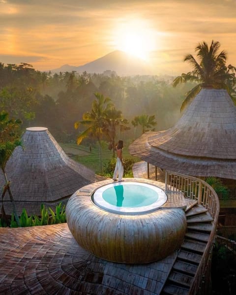 Pool view, Swimming pool