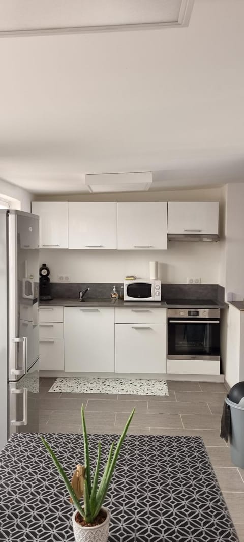 Kitchen or kitchenette, minibar, pet friendly, stove