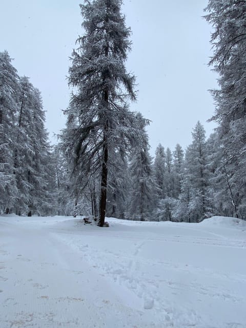 Appartement Montagne Puy Saint Vincent 1800 - Résidence Dame Blanche 3 étoiles Apartment in Provence-Alpes-Côte d'Azur