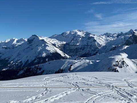 Winter, Ski School, Skiing