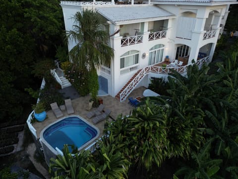 Garden, Garden view, Swimming pool