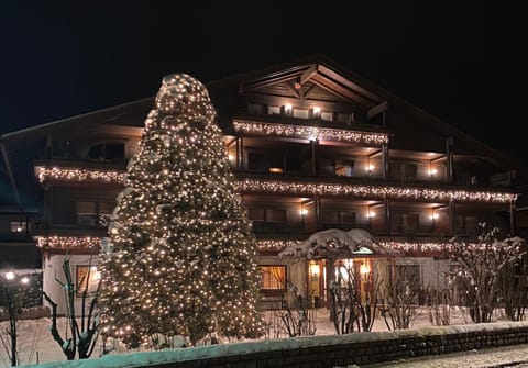 Property building, Night, Winter