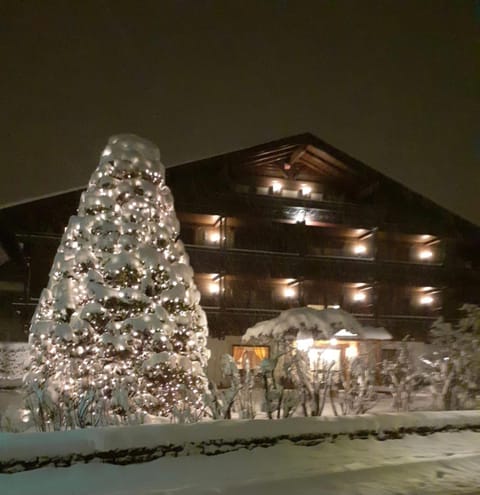 Property building, Night, Winter