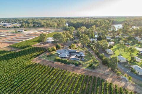 Nepeta Cataria Estate - Echuca Holiday Homes House in Echuca