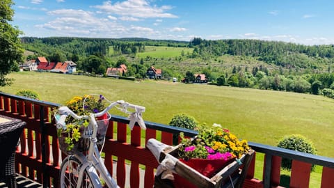 Balcony/Terrace, Other, Mountain view