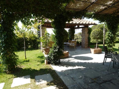 Patio, Garden view