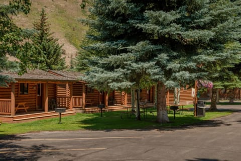 Cowboy Village Resort Lodge nature in Jackson