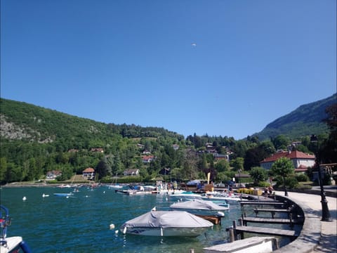 Charmant appartement avec vue lac Apartment in Talloires