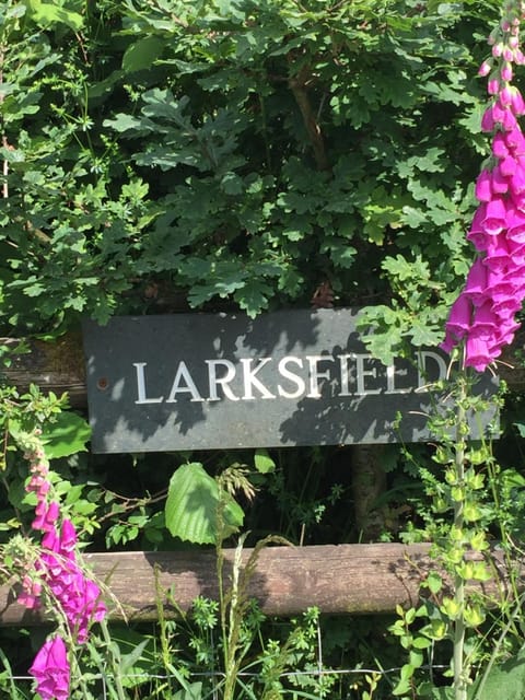 Larksfield Loft Vacation rental in Teignbridge