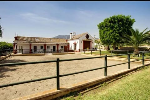 Property building, Inner courtyard view