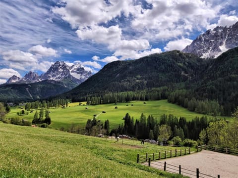 Natural landscape, Animals, Mountain view, Mountain view