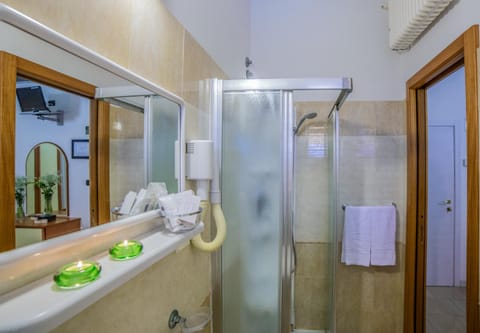 Shower, Toilet, Area and facilities