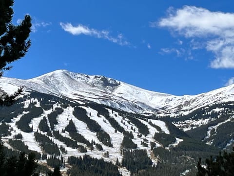 NEW! Ski-In Ski-Out Breck Condo Amenities Parking 1BR sleeps 4 Condo in Breckenridge