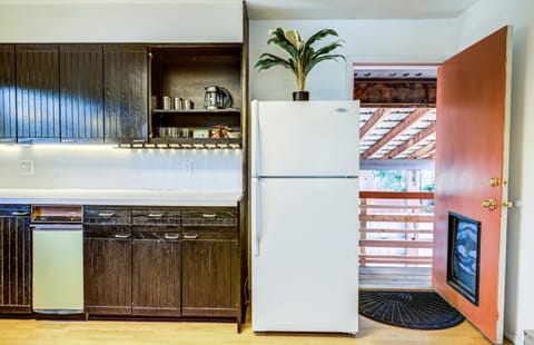 Kitchen or kitchenette, minibar, stove