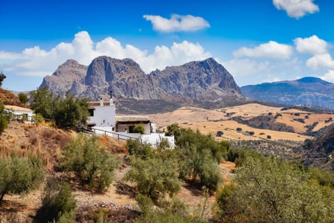 Property building, Mountain view