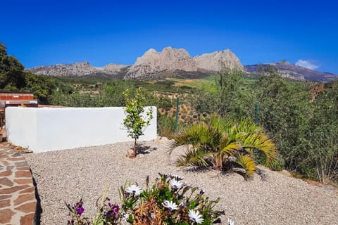 Garden, Mountain view