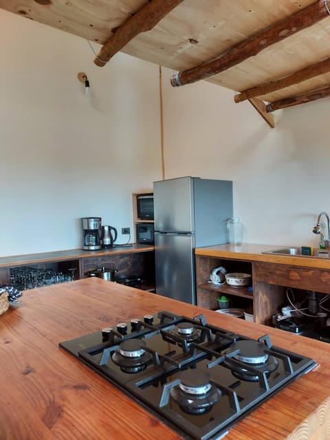 Kitchen or kitchenette, minibar, pet friendly, stove