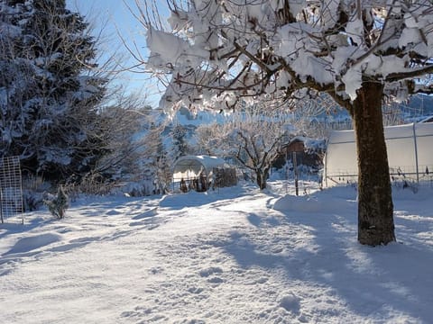 Le chalet de Julbert Apartment in Combloux