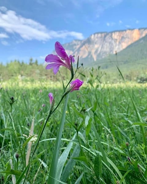 Natural landscape, Mountain view